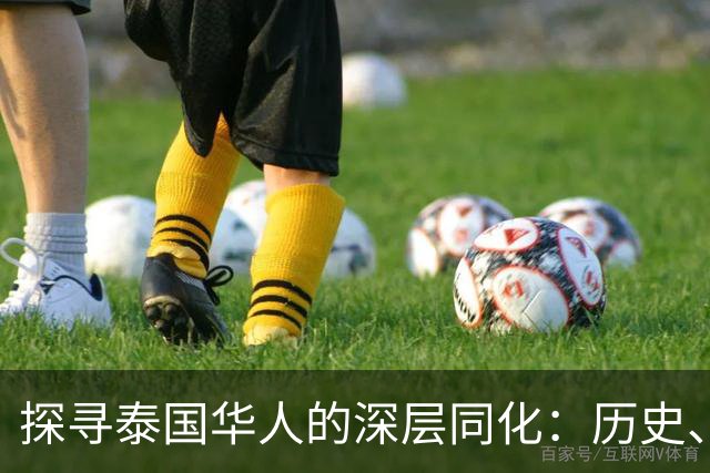 探寻泰国华人的深层同化：历史、文化与身份的交融之路